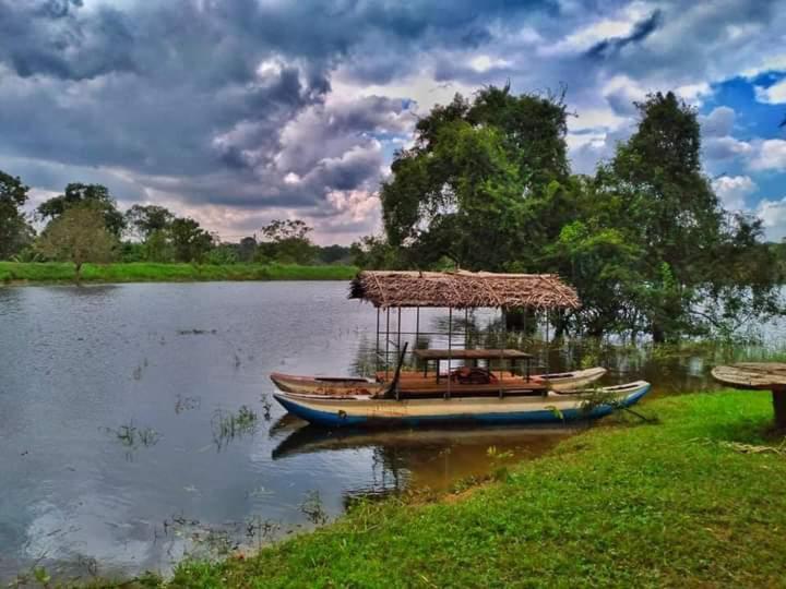 Elephant Safari Lodge Sigiriya Junction Хабарана Екстер'єр фото