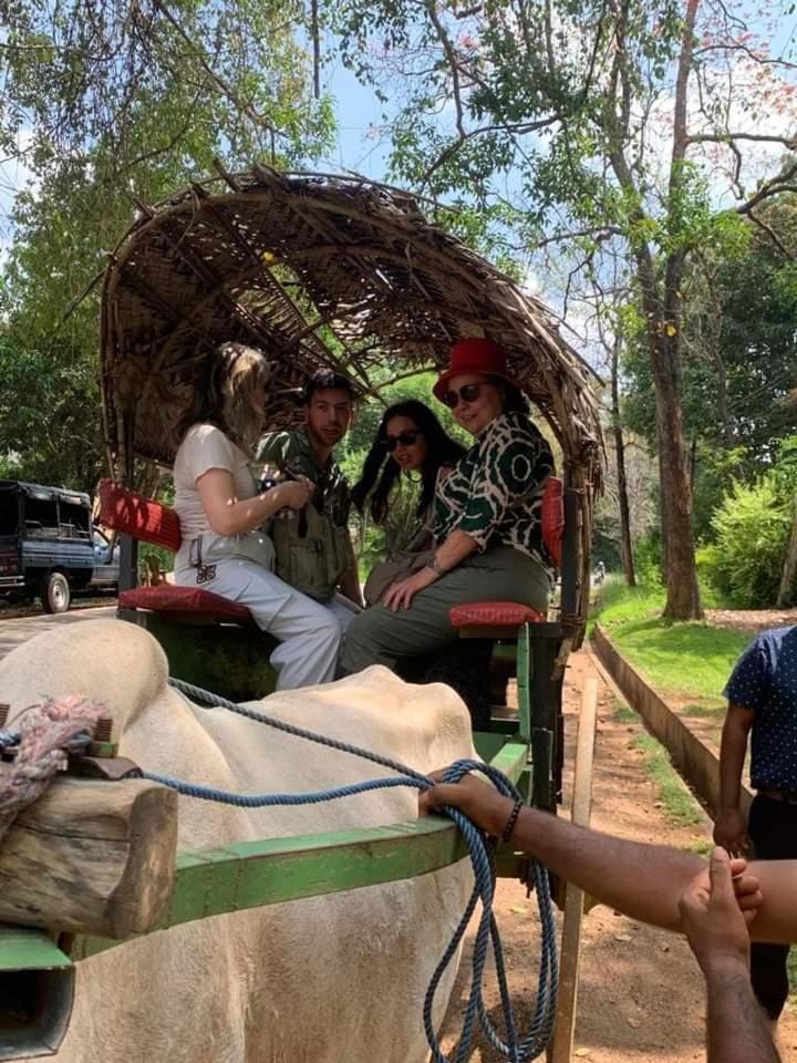 Elephant Safari Lodge Sigiriya Junction Хабарана Екстер'єр фото