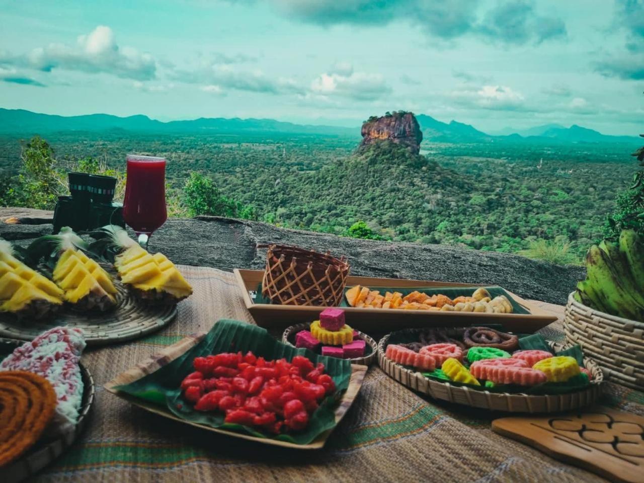 Elephant Safari Lodge Sigiriya Junction Хабарана Екстер'єр фото