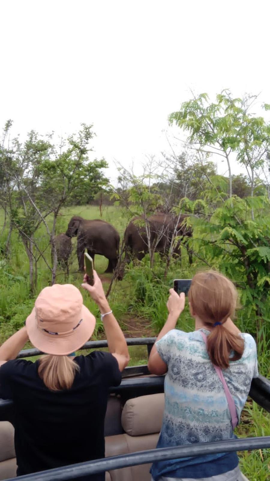 Elephant Safari Lodge Sigiriya Junction Хабарана Екстер'єр фото