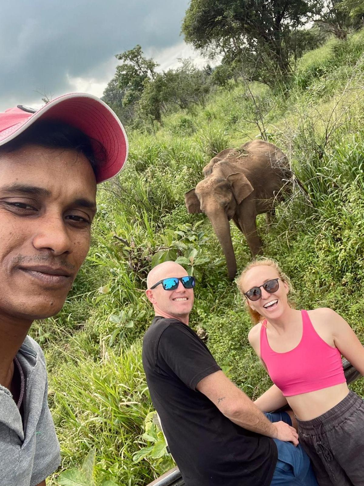 Elephant Safari Lodge Sigiriya Junction Хабарана Екстер'єр фото