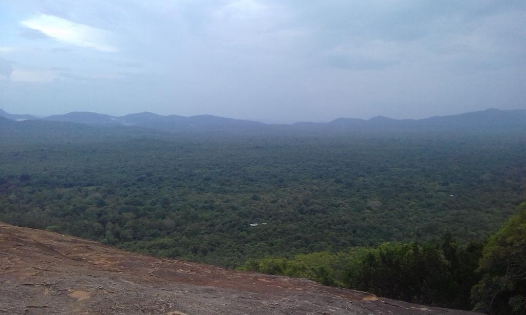Elephant Safari Lodge Sigiriya Junction Хабарана Екстер'єр фото