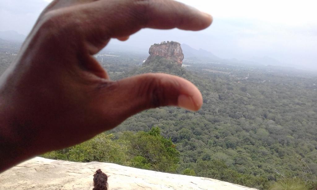 Elephant Safari Lodge Sigiriya Junction Хабарана Екстер'єр фото
