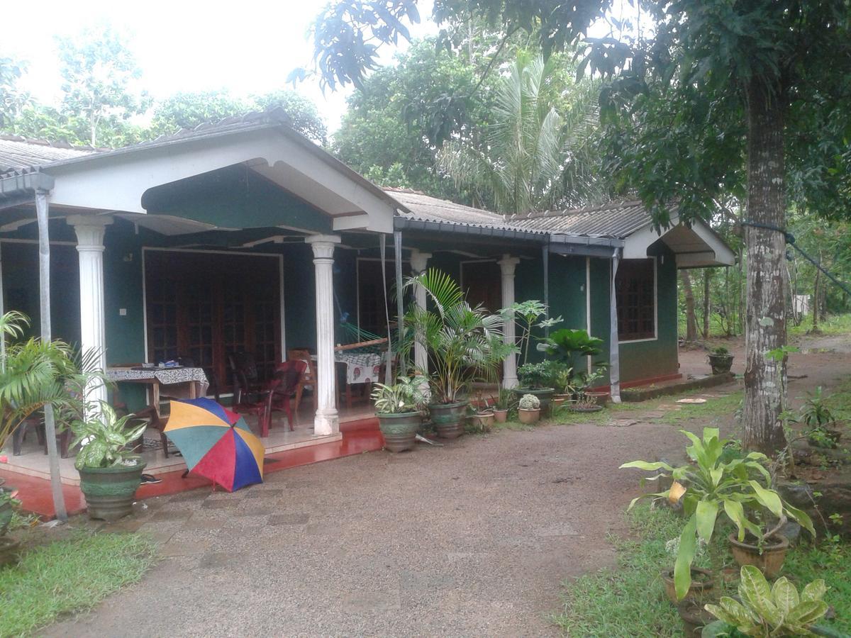 Elephant Safari Lodge Sigiriya Junction Хабарана Екстер'єр фото